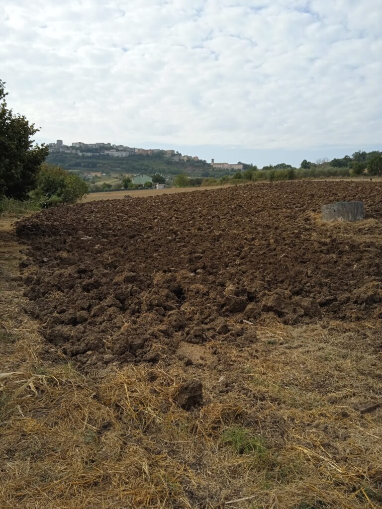 La Masseria di Zio Antonio dove il tempo si tramanda